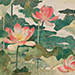 Mai Shikama Gallery